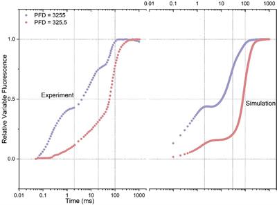 Screening rate constants in the simulation of rapid kinetics of chlorophyll a fluorescence using the Morris method